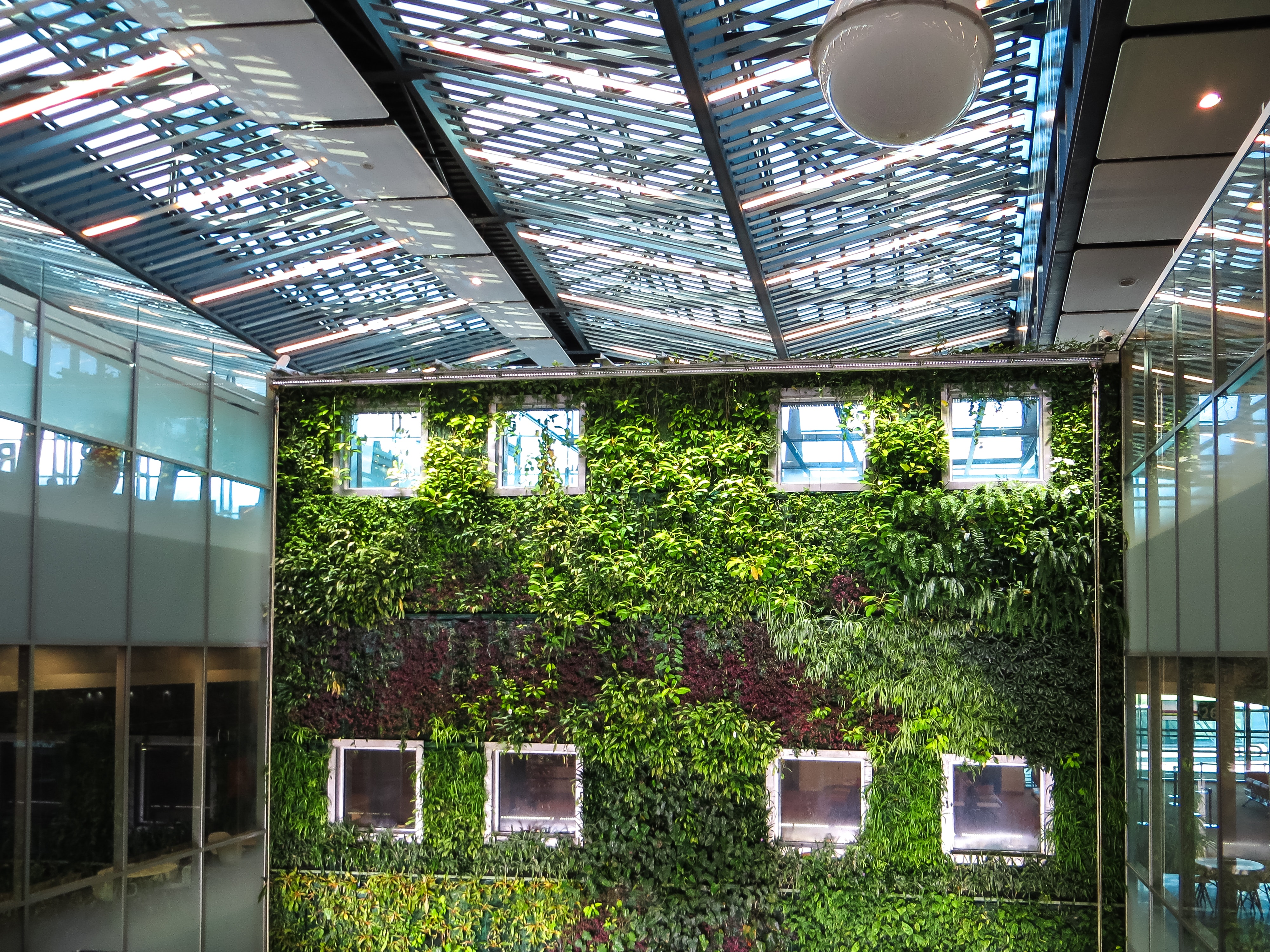 Read more about the article How Do You Design An Eco-Friendly Office